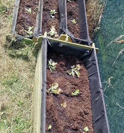 Dalias - Con Piscina, Parque Infantil, Juegos, 6 Hab, 3 Banos - Vv-256-as * Argüero