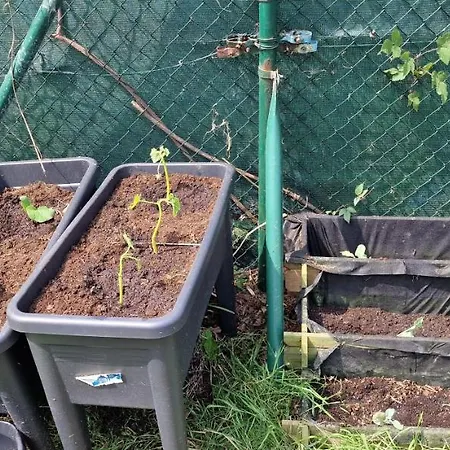 Dalias - Con Piscina, Parque Infantil, Juegos, 6 Hab, 3 Banos - Vv-256-as ヴィラ